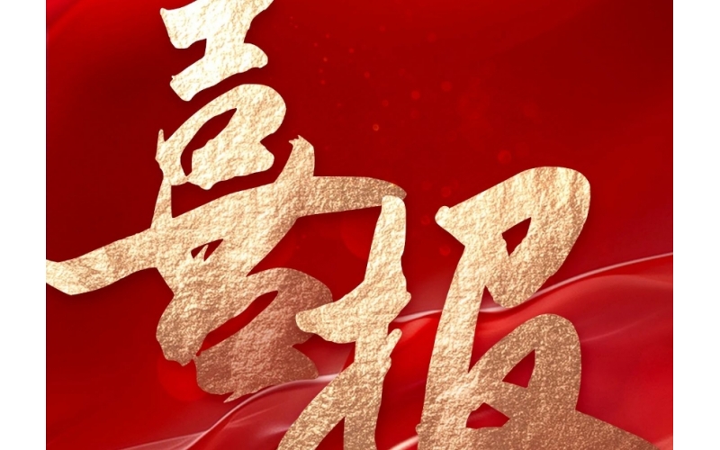 引領未來十年丨《地彈簧》、《閉門器》 行業標準正式批準發布